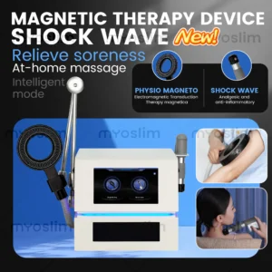 Pulsed Magnetic Device for Pain Relief